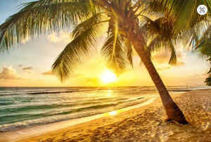 fbp_fotohintergrund_strand.jpg (137926 Byte)